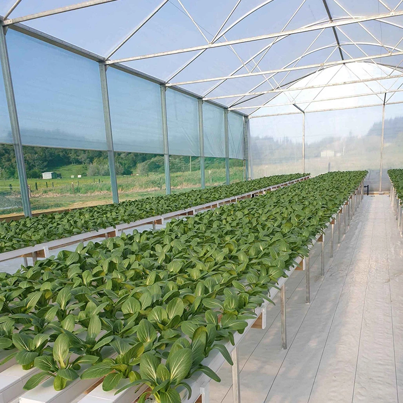 Commercial Soil Free Cultivation Nft Food-Grade Hydroponic Farming Systems for Leafy Greens