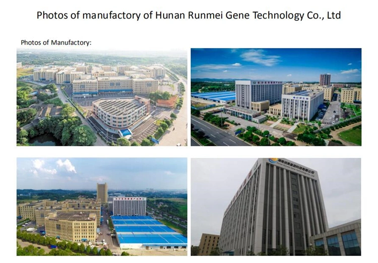 Real Time PCR Detection System, Lab Use 96 Holes PCR Detector, Medical Use 96 Well Rna DNA Real Time PCR Instrument