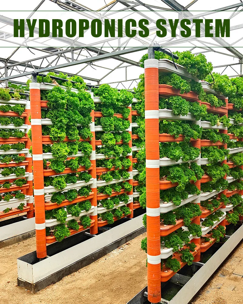 Vertical Horizontal Nft Channels Hydroponics Growing System for Green Flower Garden Leaf Vegetables/ Celery/Lettuce